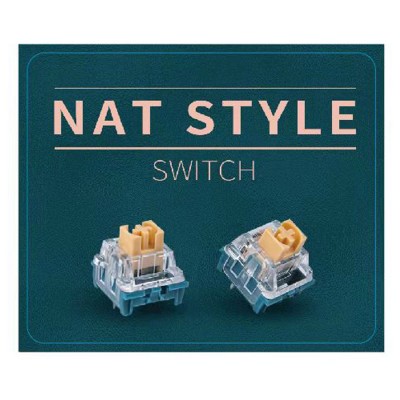 NAT Style Switch