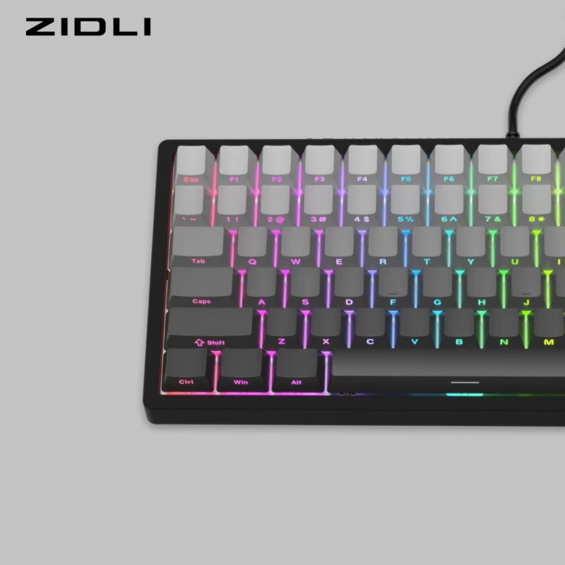 Bàn phím cơ có dây Gaming Zidli K84 ( USB Port , Led )