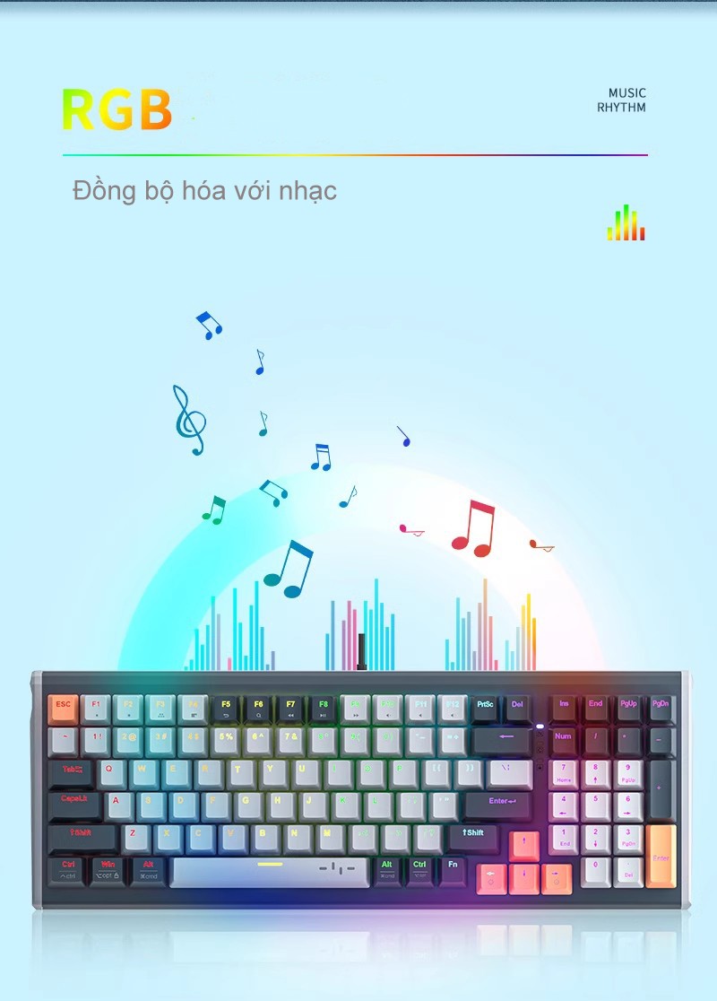 Newmen GM560PRO Magnetic Switch