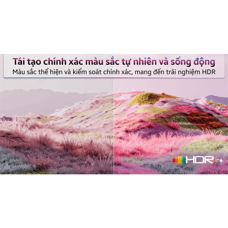 Tivi Xiaomi Smart Display S Mini LED 55 inch 4K L55MA-SPLEA