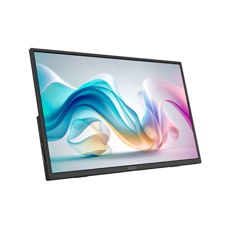 Màn hình di động MSI PRO MP165 E6 (15.6 inch/FHD/IPS/60Hz/4ms/USB-C/loa)