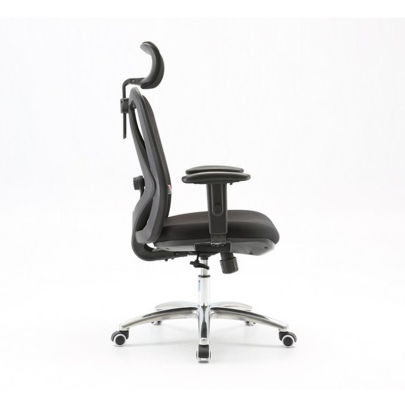 Ghế Công Thái Học Ergonomic Sihoo M18-N102 Black