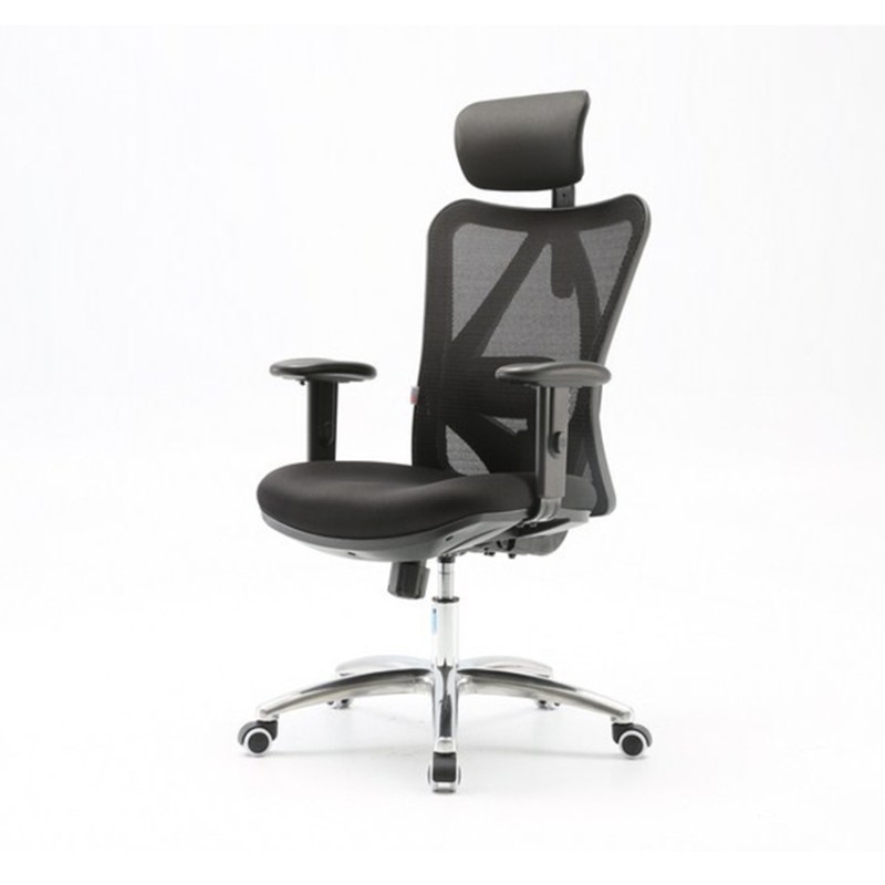 Ghế Công Thái Học Ergonomic Sihoo M18-N102 Black