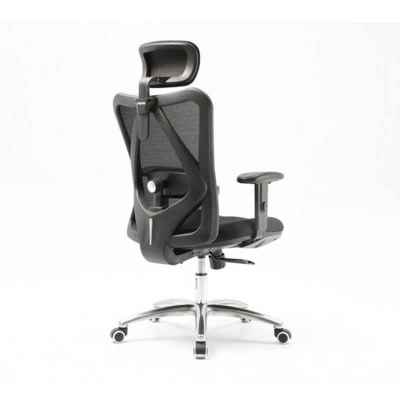 Ghế Công Thái Học Ergonomic Sihoo M18-N102 Black