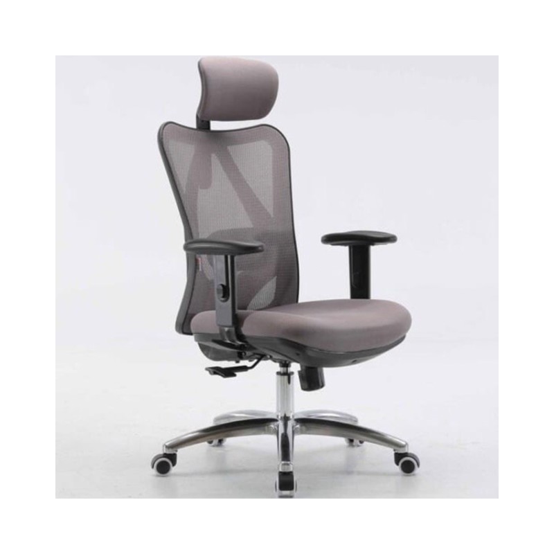 Ghế Công Thái Học Ergonomic Sihoo M18-031 Grey