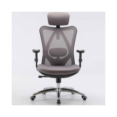 Ghế Công Thái Học Ergonomic Sihoo M18-031 Grey