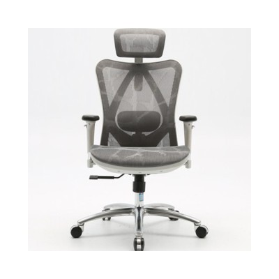 Ghế Công Thái Học Ergonomic Sihoo M57-N103 - Grey Frame Grey Mesh