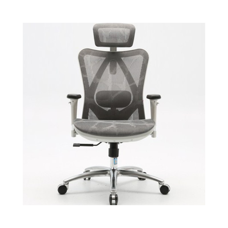 Ghế Công Thái Học Ergonomic Sihoo M57-N103 - Grey Frame Grey Mesh