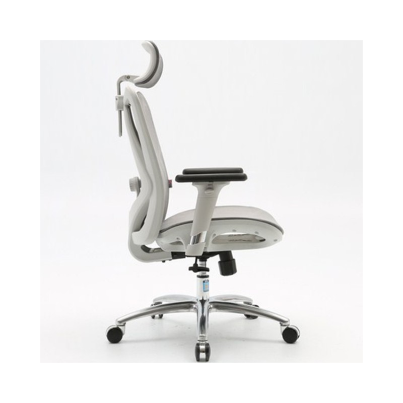Ghế Công Thái Học Ergonomic Sihoo M57-N103 - Grey Frame Grey Mesh