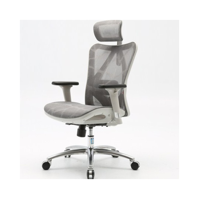 Ghế Công Thái Học Ergonomic Sihoo M57-N103 - Grey Frame Grey Mesh