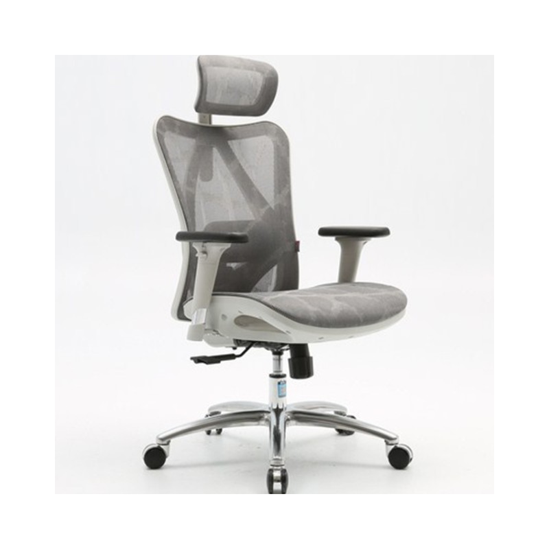 Ghế Công Thái Học Ergonomic Sihoo M57-N103 - Grey Frame Grey Mesh