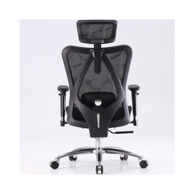 Ghế Công Thái Học Ergonomic Sihoo M57-N101 - Black Frame-Black Mesh