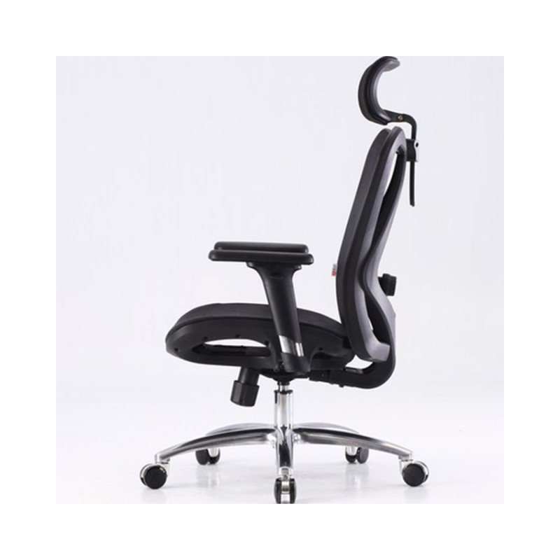 Ghế Công Thái Học Ergonomic Sihoo M57-N101 - Black Frame-Black Mesh