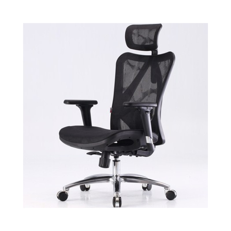 Ghế Công Thái Học Ergonomic Sihoo M57-N101 - Black Frame-Black Mesh