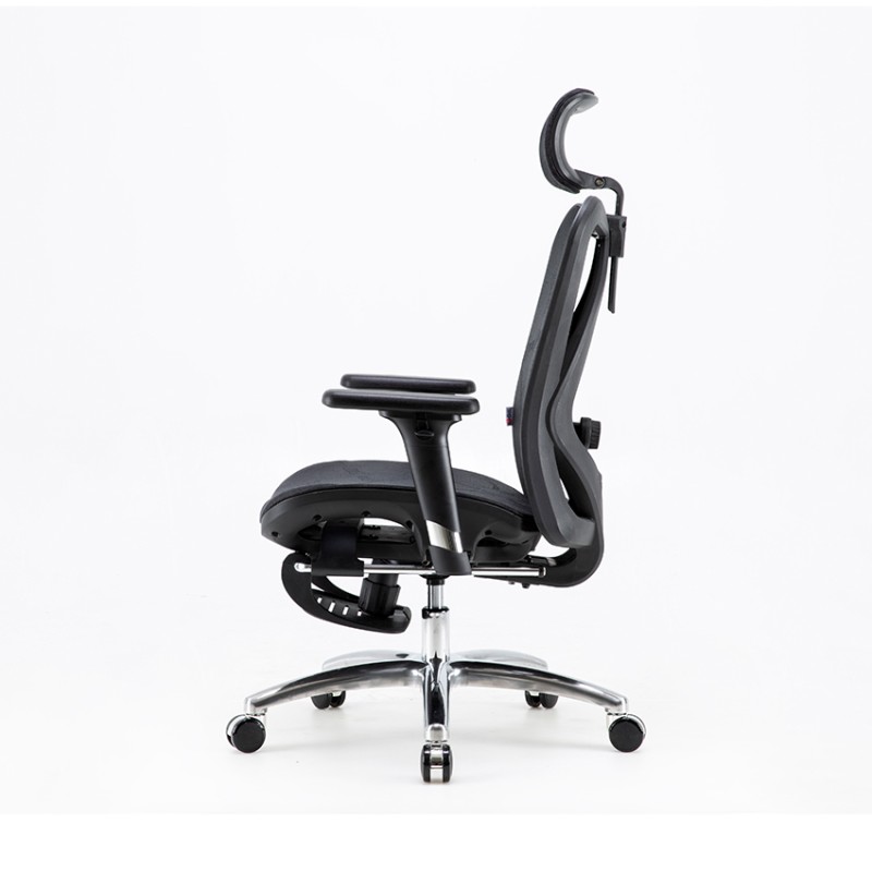 Ghế công thái học Sihoo M57B-N101