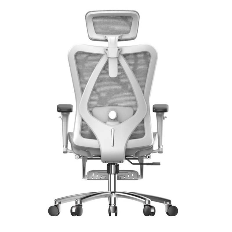 Ghế công thái học Sihoo M57B-N102 màu xám